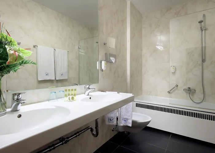 Hotel Eurostars Park Maximilian 4*